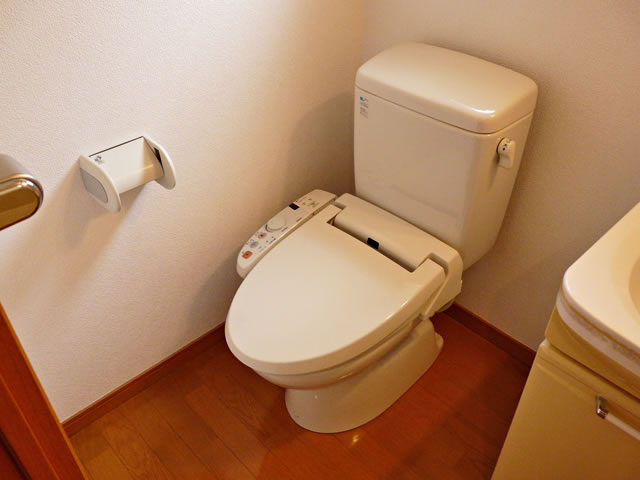 Toilet. Toilet (with washlet)