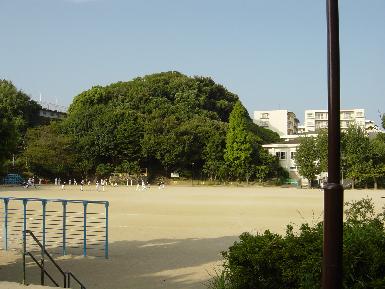 Primary school. 1012m to Fukuoka Municipal Ozasa elementary school (elementary school)