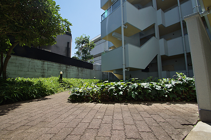 Other common areas. courtyard