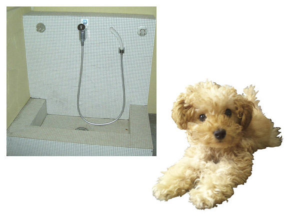 Pet.  [Pet symbiosis Mansion] It is possible to keep pets in the range of Terms. Installation convenient pet dedicated foot washing area to walk the way home (same specifications)  ※ Please ask the attendant for more information (an example of a photo frog pet)