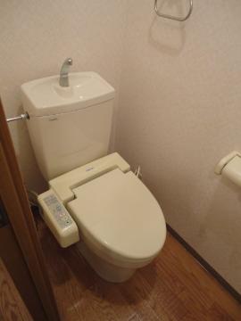 Toilet. Toilet with shower