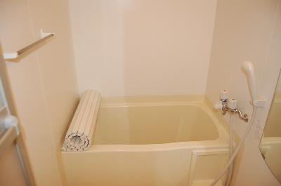 Bath. bath ※ Same property separate room photo