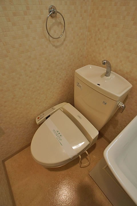 Toilet. Toilet (Washlet)