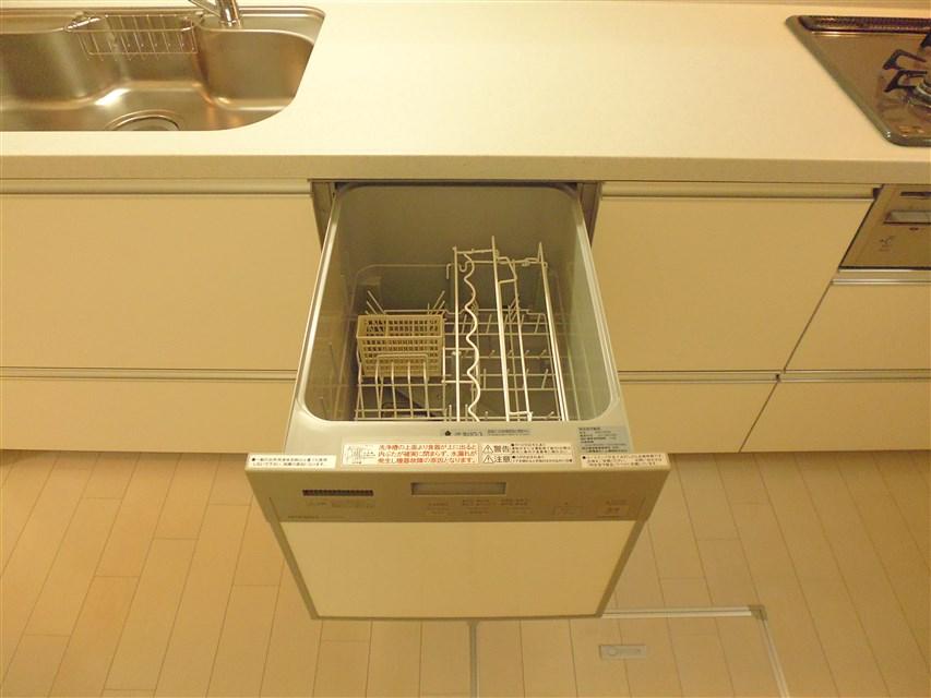 Kitchen. With built-in dishwasher dryer
