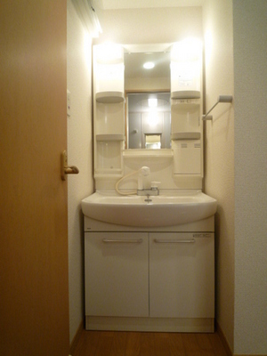 Washroom. Shampoo dresser