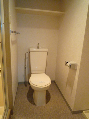 Toilet. Toilet