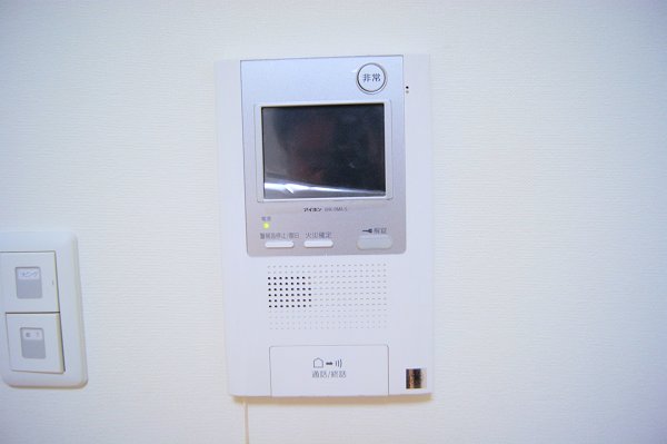 Security. TV with monitor phone
