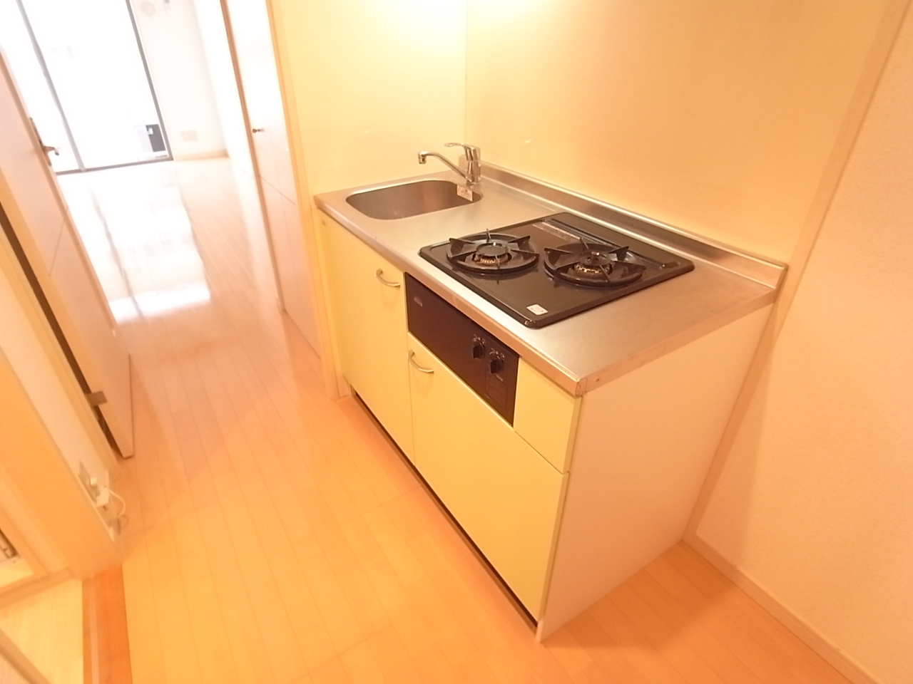Kitchen. Two-burner stove in the kitchen ☆
