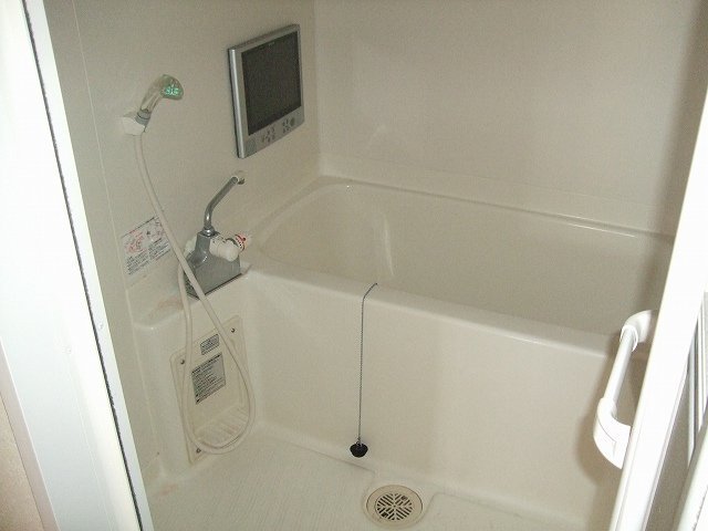 Bath. Bathroom is equipped with a television monitor