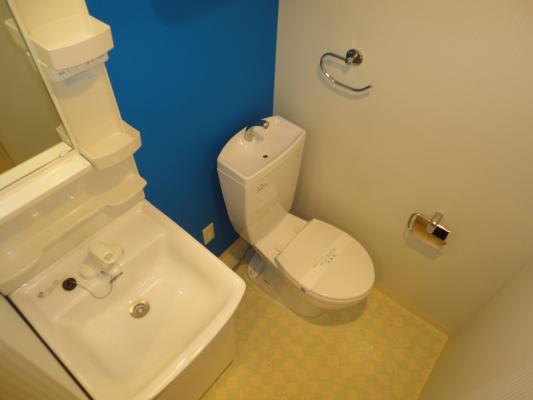 Washroom. Also with shampoo dresser