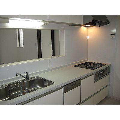 Kitchen. Built-in kitchen with a dishwasher dryer!