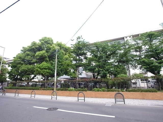 Junior high school. Municipal Higashi Sumiyoshi until junior high school (junior high school) 1100m