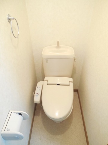 Other room space. Toilet Washlet