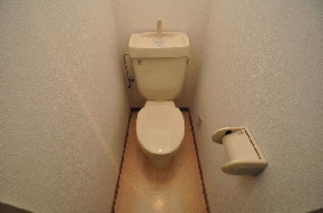 Other room space. A click from a high position toilet