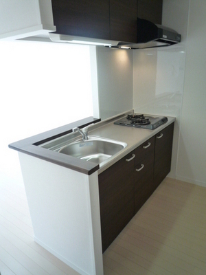 Kitchen. System kitchen