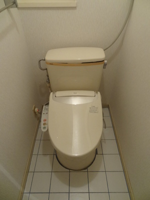 Toilet. Toilet