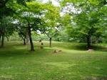 park. 450m to Sumiyoshi Park (park)