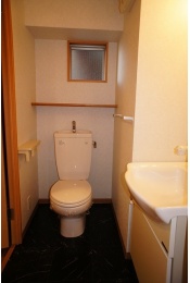 Toilet. Shampoo dresser basin