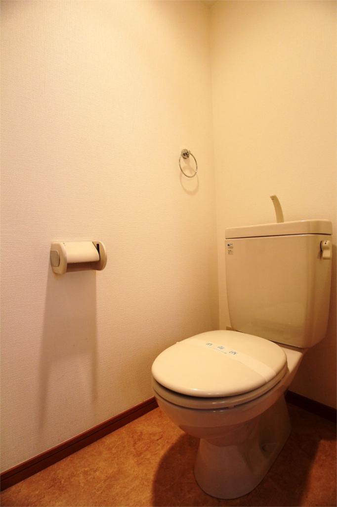 Toilet. Toilet