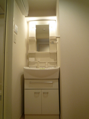 Washroom. Shampoo dresser