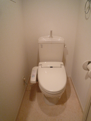 Toilet. Bidet shower toilet