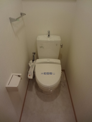 Toilet. Bidet shower toilet