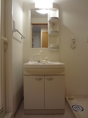 Washroom. Shampoo dresser