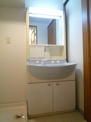 Washroom. Shampoo dresser