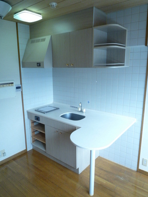 Kitchen. Kitchen