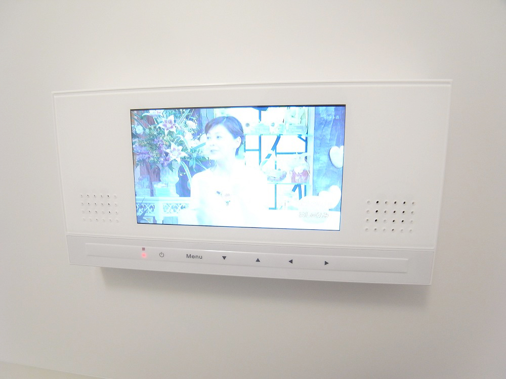 Security. TV monitor phone