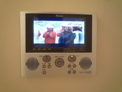 Bath. Bathroom TV