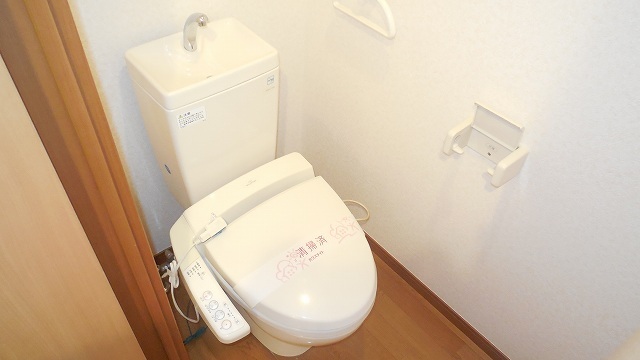 Other room space. Shower is equipped with toilet
