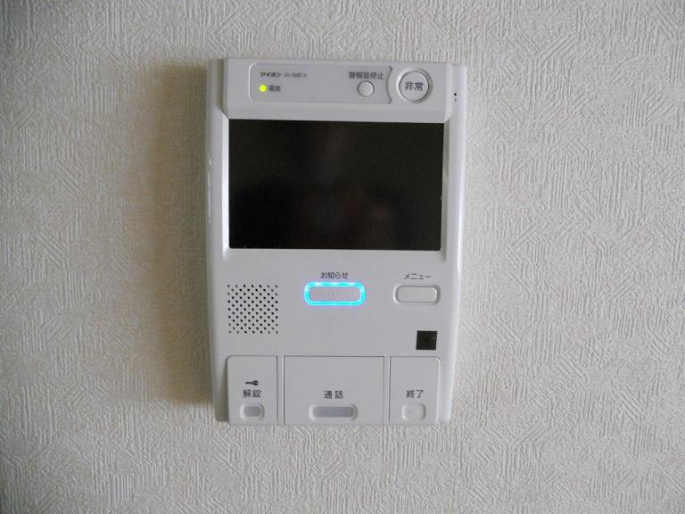 Other. With TV monitor intercom