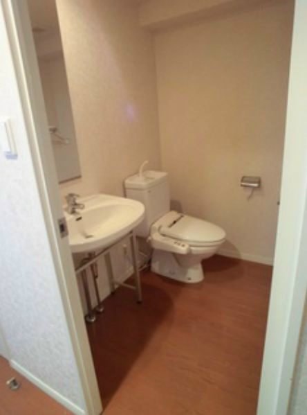 Washroom. With basin dressing room
