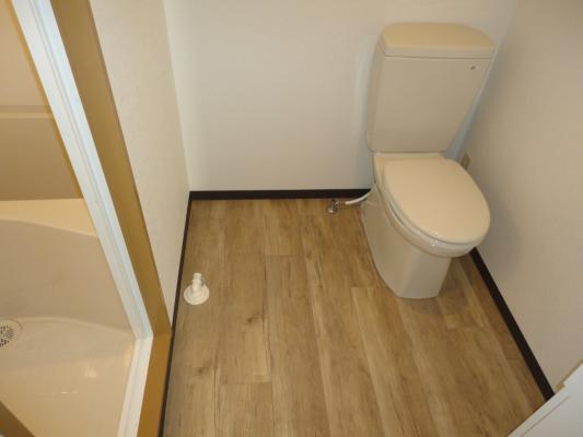 Washroom. Indoor Laundry Storage & your toilet