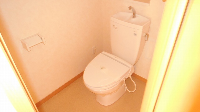 Other room space. Toilet with cleanliness