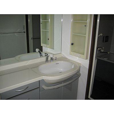 Wash basin, toilet. Bathroom vanity!