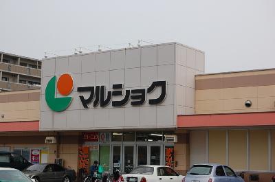 Supermarket. 800m until Marushoku (super)