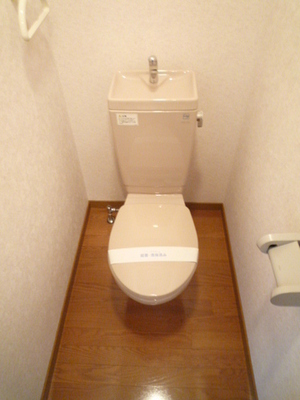 Toilet. Toilet