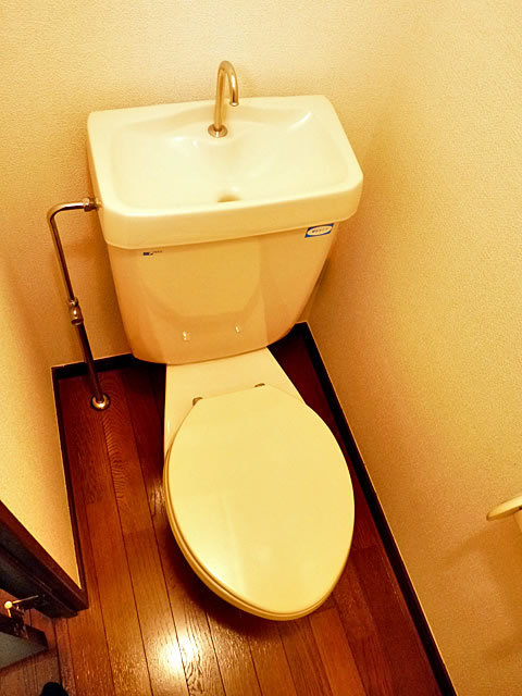 Toilet