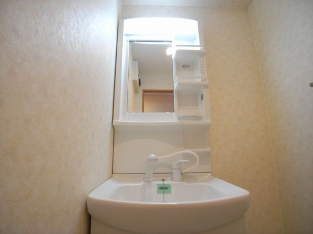 Washroom. Shampoo dresser