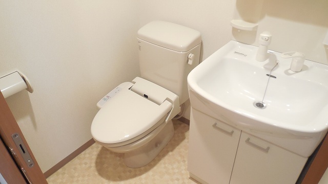 Other room space. Shower toilet Shampoo dresser