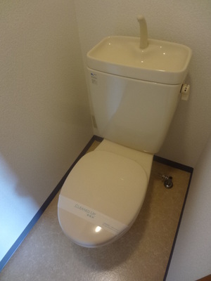 Toilet. Toilet