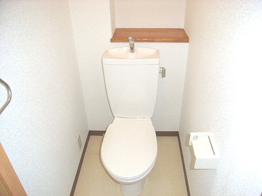 Toilet. reference image