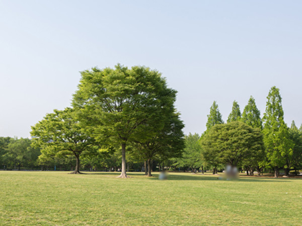 Surrounding environment. Kasuga Park (about 1260m / 16-minute walk)