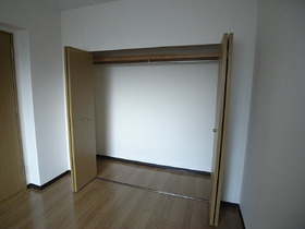 Other. It is a big closet.