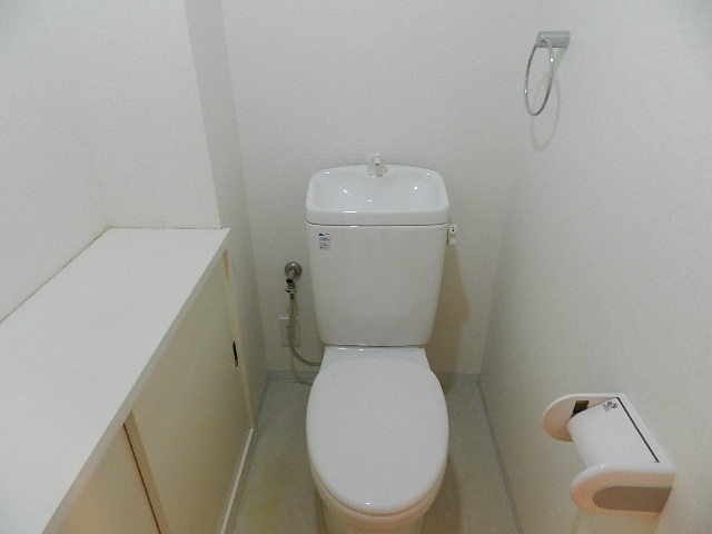Toilet. Larger size also toilet storage