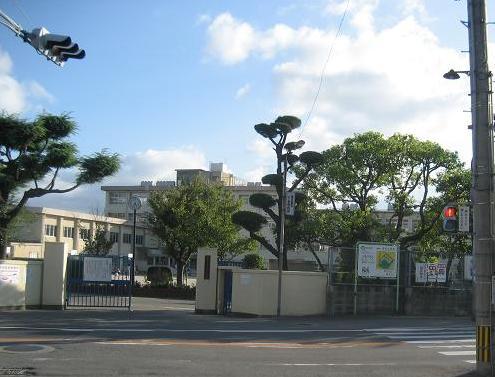Primary school. Municipal Hakomatsu until elementary school 954m