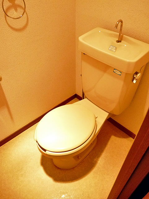 Toilet