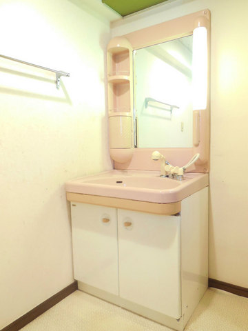 Other room space. Independent wash basin with shampoo dresser